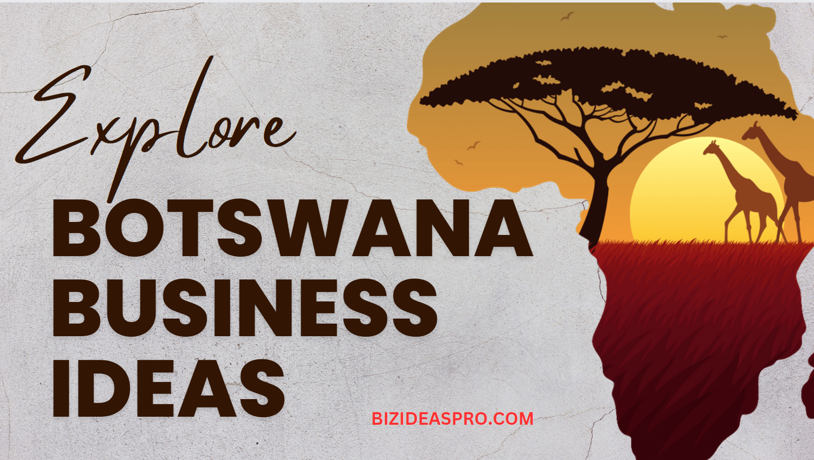 botswana business ideas by bizideaspro.com