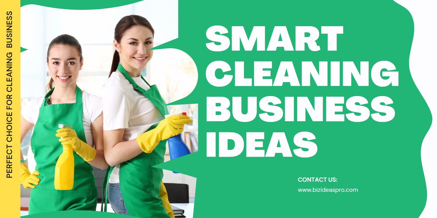 cleaning business ideas by bizideaspro