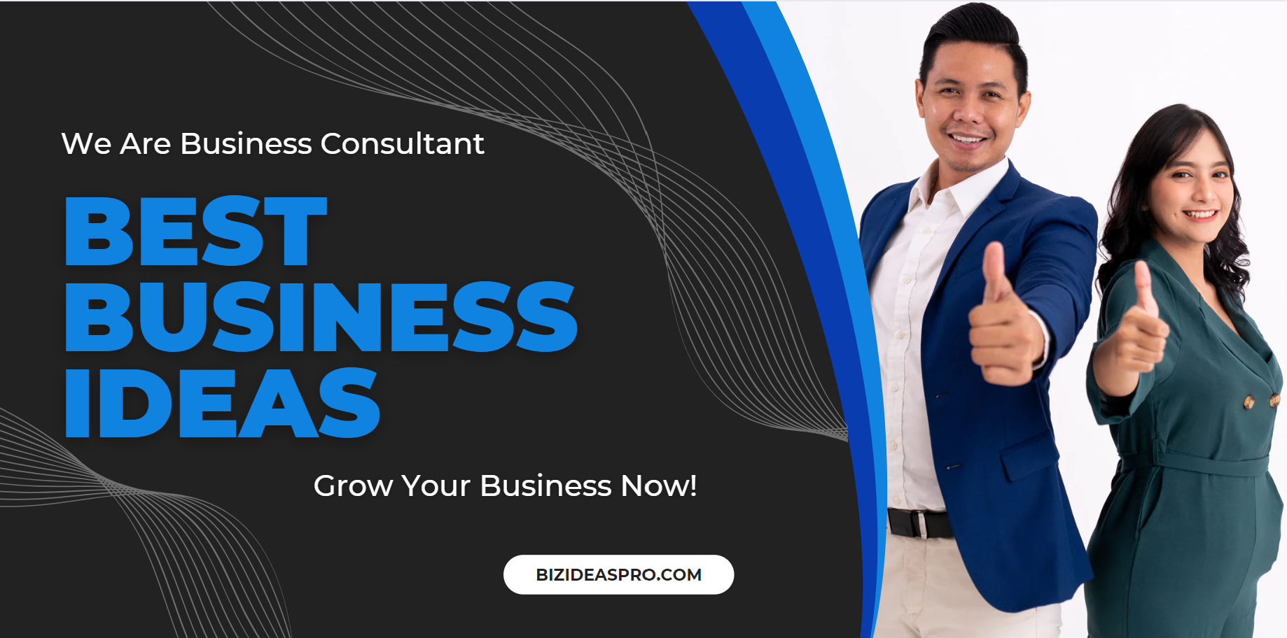 Best Business ideas - bizideaspro.com