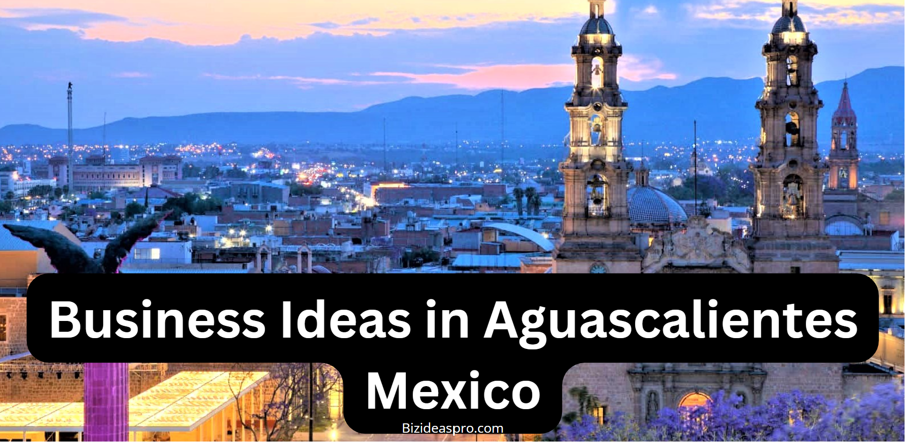Business Ideas in Aguascalientes Mexico